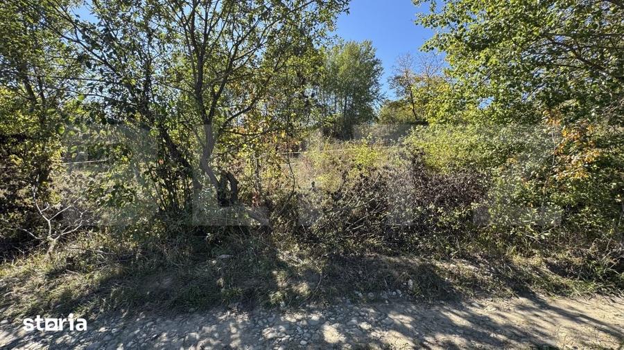 Teren de 1159 mp, în Rebrișoara