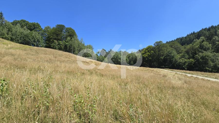 Teren agricol extravilan de 36200 mp, în Poiana Mărului