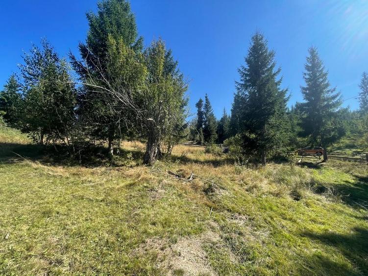 Teren Construcții intravilan de 1500 mp, în Dealu Negru