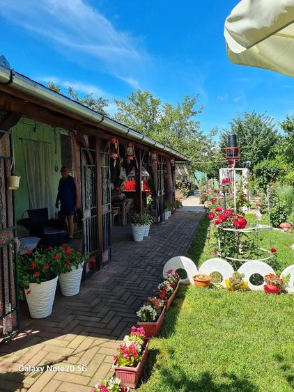 Casă cu 4 camere cu Teren 3000 Mp în Ghioroc
