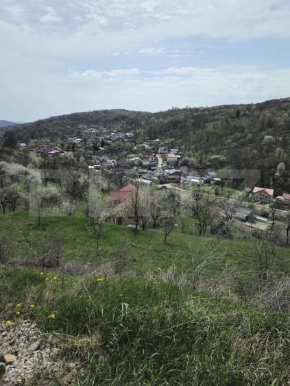 Casă individuală cu 6 camere cu Teren 3000 Mp în Runcu
