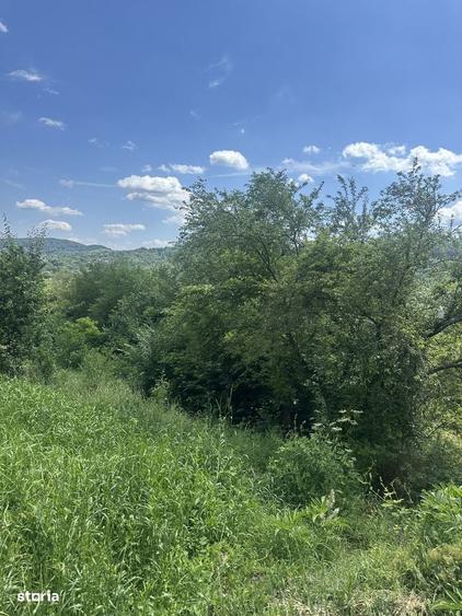 Spațiu comercial, în Cornu