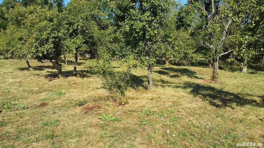 Teren de 5193 mp, în Corbi