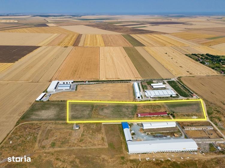 Teren de 29560 mp, în Cogealac
