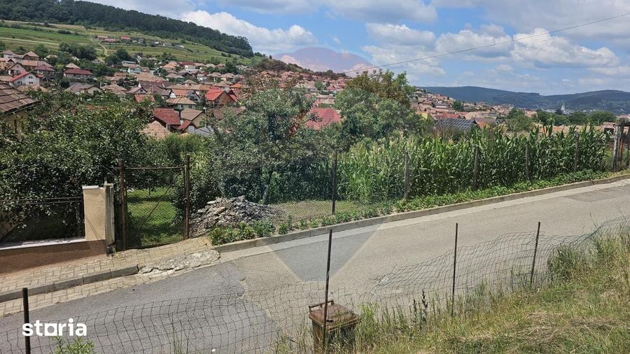 Teren de 1103 mp, în Terezian