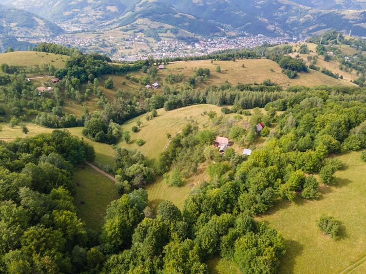 Casă cu 4 camere în Central