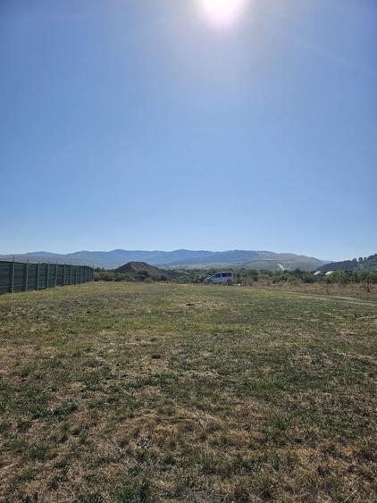 Teren intravilan Carpinis - 5