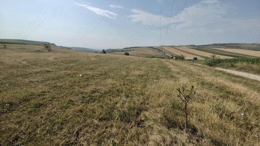 Teren de 5000 mp, în Tureni