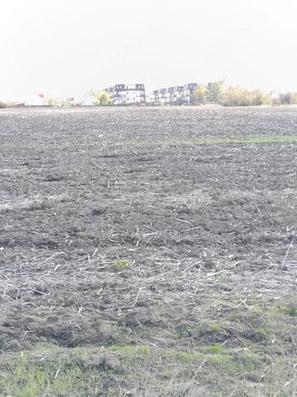 Teren de 8000 mp, în Central