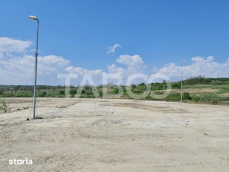 Teren de 40000 mp, în Teiu