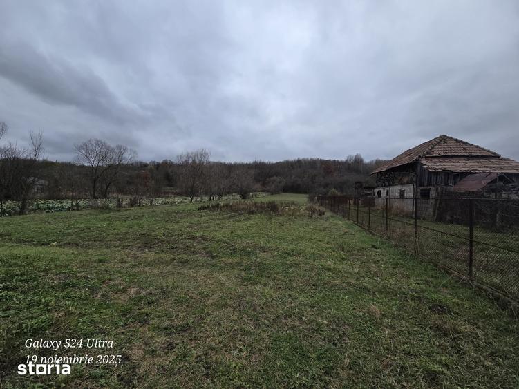 Teren de 5000 mp, în Merișani
