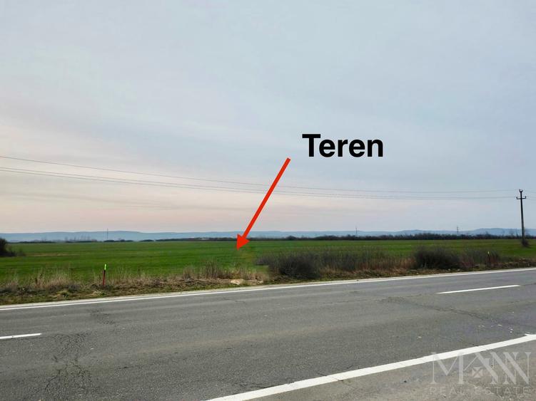 Teren intravilan de 15003 mp, în Săcădat