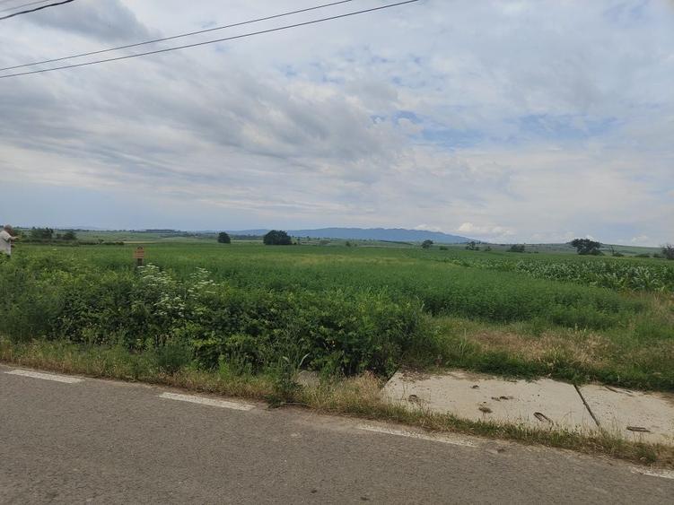 Teren de 7500 mp, în Diocheți-Rediu