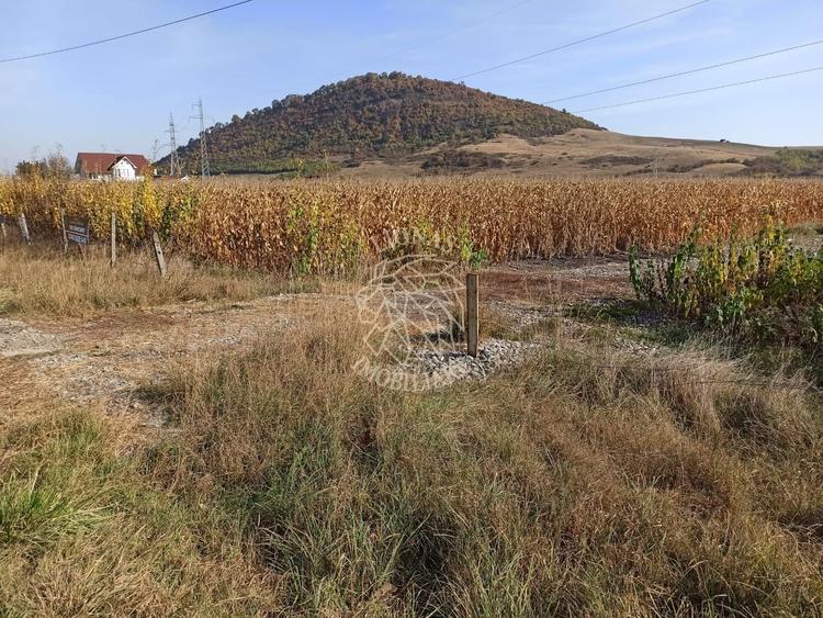 Teren agricol extravilan de 770 mp, în Sărata
