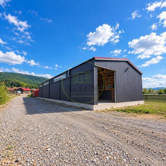 Teren Construcții extravilan de 4500 mp, în Prejmer