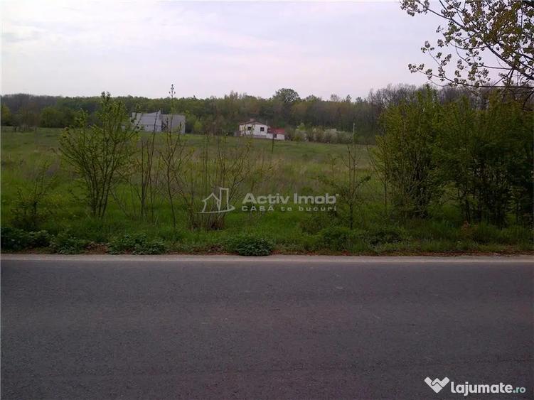 Teren de 5000 mp, în Ciolpani