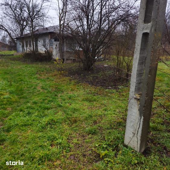 Teren de 4260 mp, în Răchiți
