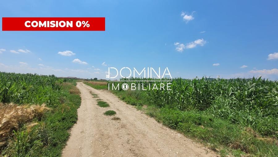 Teren Construcții intravilan de 3504 mp, în Bălești