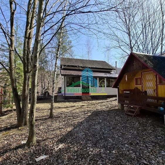 Casă cu Teren 300 Mp în Lepșa