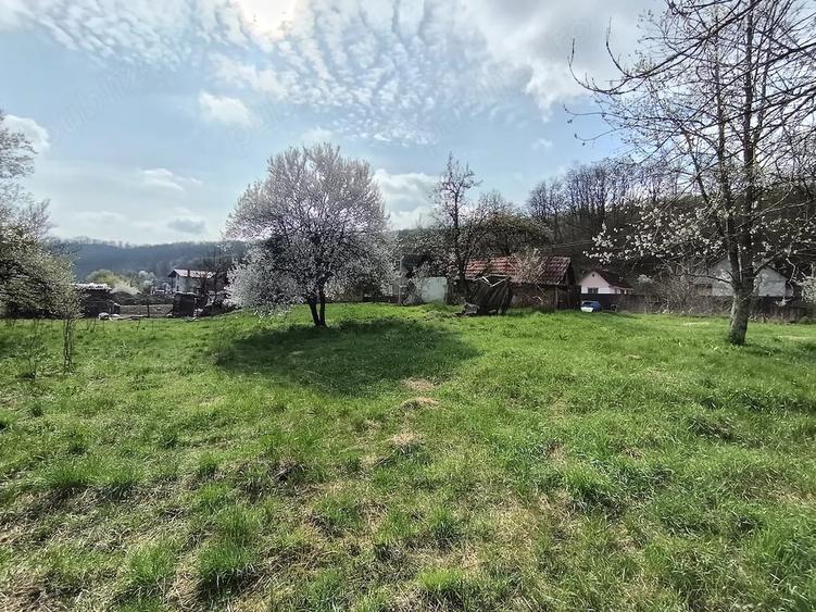 Teren de 1563 mp, în Central