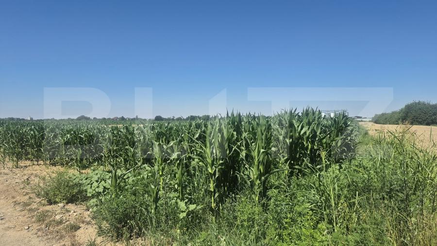 Teren Construcții intravilan de 5700 mp, în Odoreu
