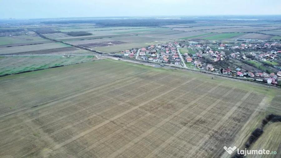 Teren în Bucovăț (Remetea Mare)