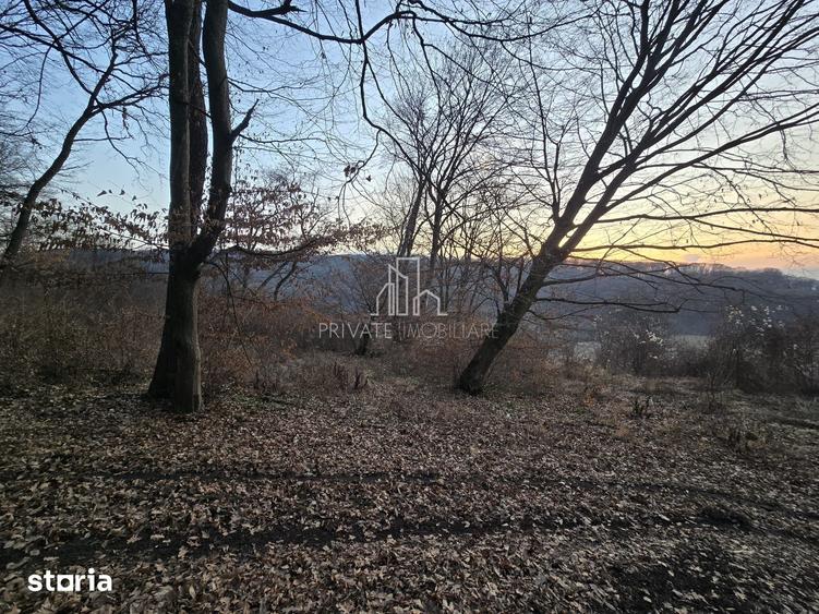 Teren de 28800 mp, în Sighișoara
