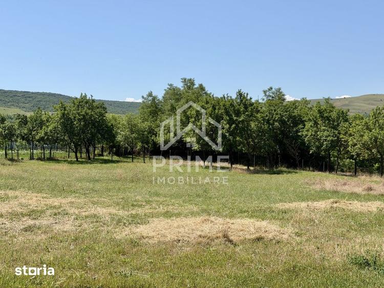 Teren de 2417 mp, în Central