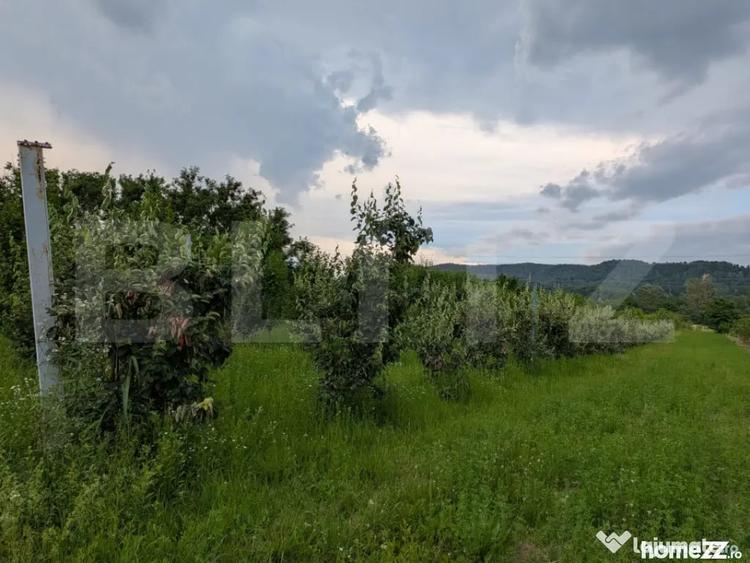 Teren în Voinești