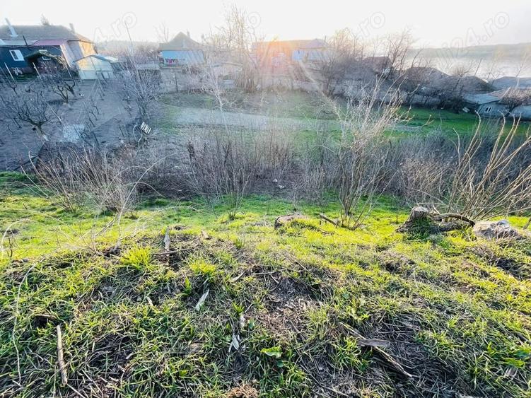 Teren de 3750 mp, în Rasova