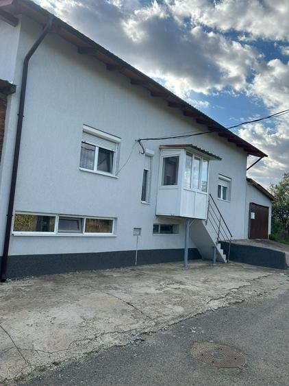 Casă cu 4 camere cu Teren 740 Mp în Pișchia