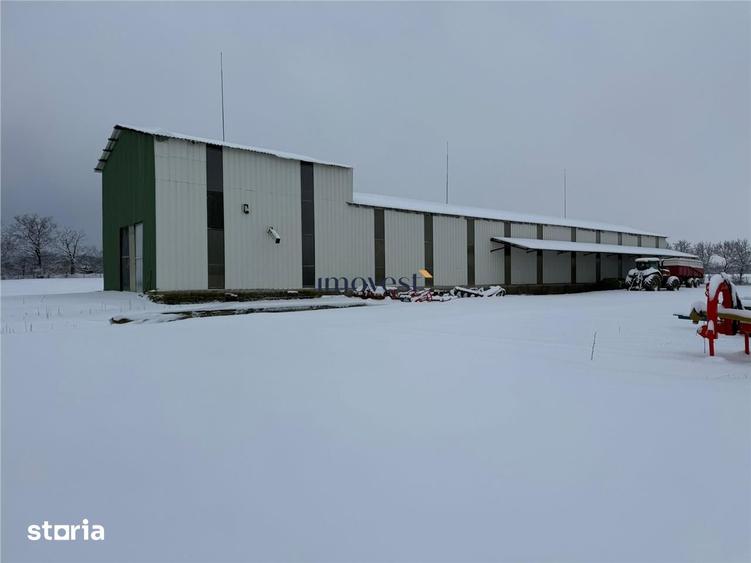 Casă cu 6 camere cu Teren 52000 Mp în Supur