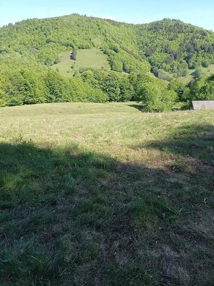 Teren de 20000 mp, în Gura Cornei
