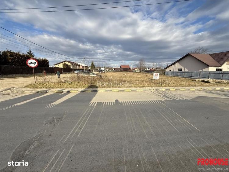 Serbanesti - Triumfului - 2.478 mp sau loturi 400-500mp