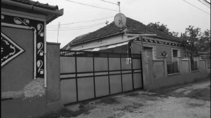 Casă individuală cu 7 camere cu Teren 8617 Mp în Sânnicolau Român