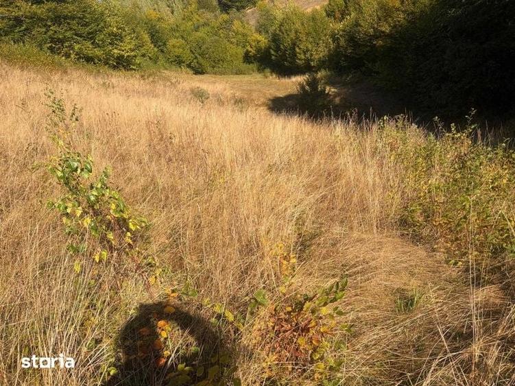 Teren de 8927 mp, în Holbav