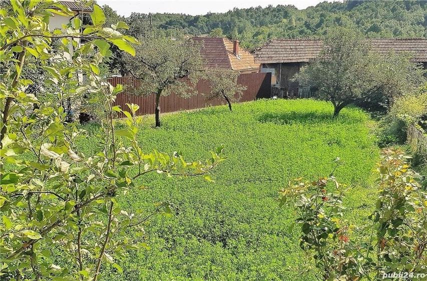 Casă cu 6 camere cu Teren 2000 Mp în Bătrâni
