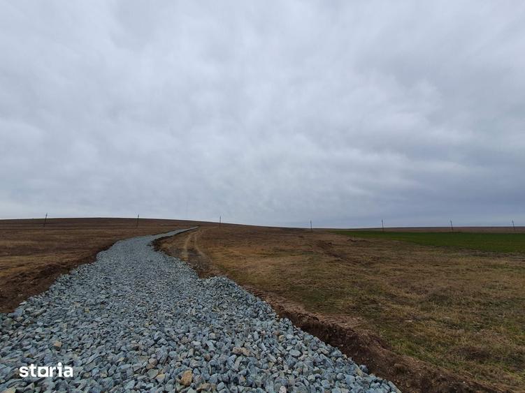 Teren de 590000 mp, în Saraiu