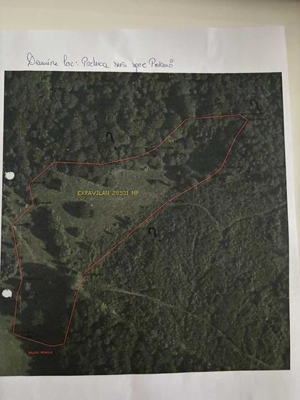 Teren de 155440 mp, în Luncani