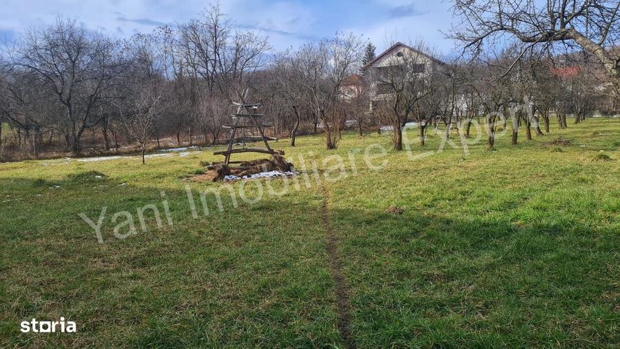Spațiu comercial, în Central
