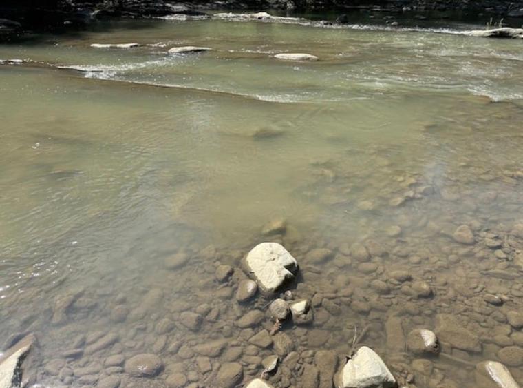 Teren intravilan de 3275 mp, în Tarcău