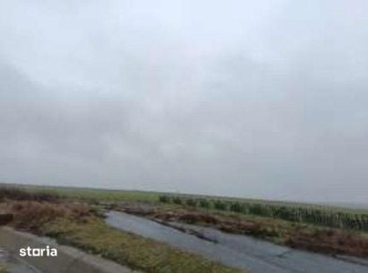 Teren de 14000 mp, în Central