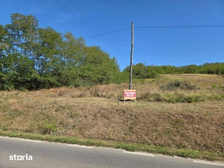 Teren de 5000 mp, în Teiu