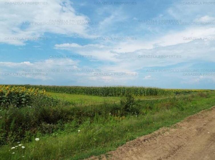 Teren Construcții extravilan de 28594 mp, în Crevedia