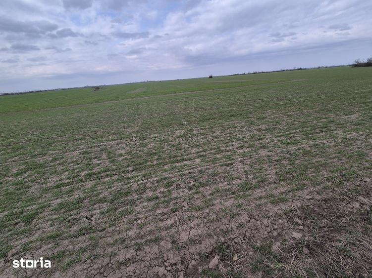 Teren de 13852 mp, în Domnești