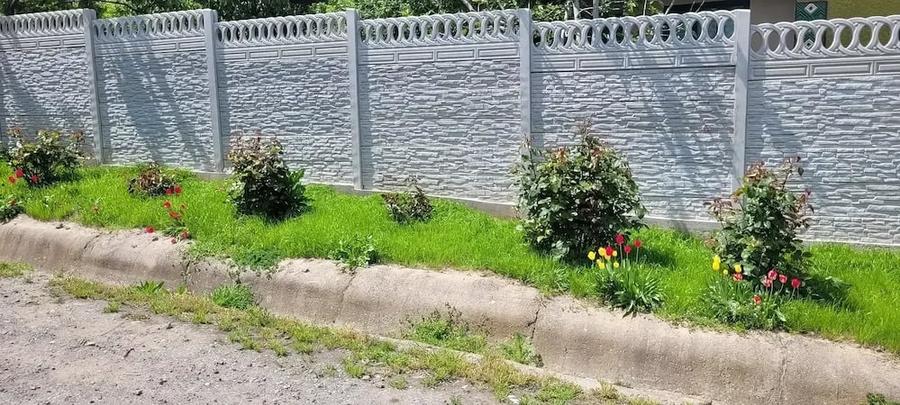 Casă cu 4 camere cu Teren 2500 Mp în Central