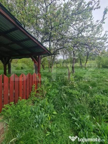 Casă cu 3 camere cu Teren 5520 Mp în Sânpaul