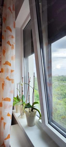 Apartament cu 2 camere decomandat în Drumul Taberei