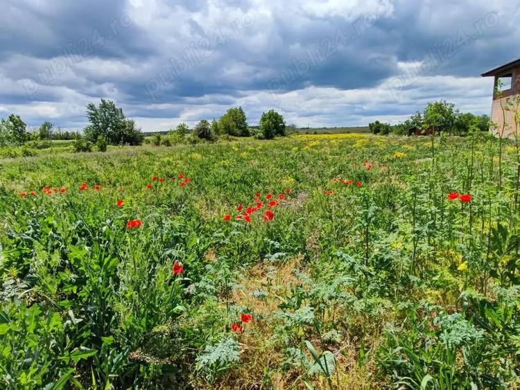 Teren de 5800 mp, în Nanov