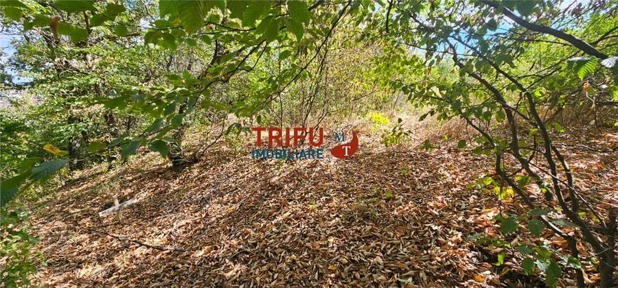 Teren De Vanzare Valea Popii ! - 2